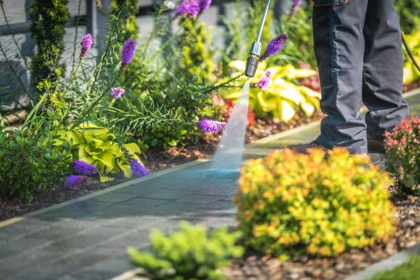 Best Boat and Dock Cleaning  in Hawthorne, NY